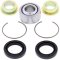 Rear shock bearing and seal kit All Balls Racing