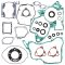 Complete Gasket Kit with Oil Seals WINDEROSA