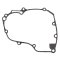 Ignition cover gasket WINDEROSA