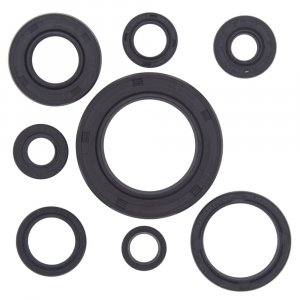 Engine Oil Seal Kit WINDEROSA