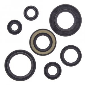 Engine Oil Seal Kit WINDEROSA