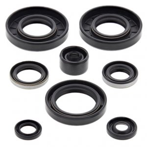 Engine Oil Seal Kit WINDEROSA