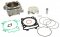 Cylinder kit ATHENA d 100 (490cc)