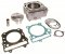 Cylinder kit ATHENA d 80 (276,46cc)